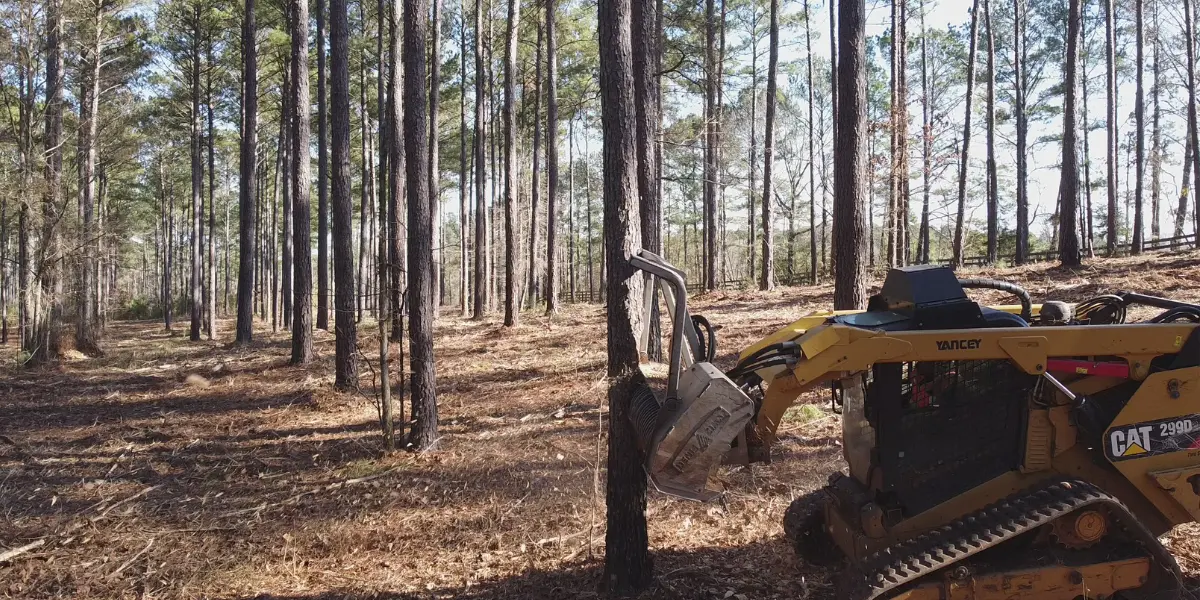 Land Clearing Services in Austin, TX