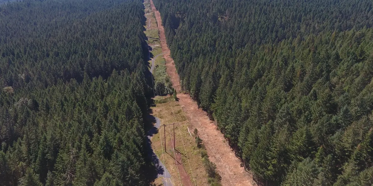 Land Clearing Services in Austin, TX