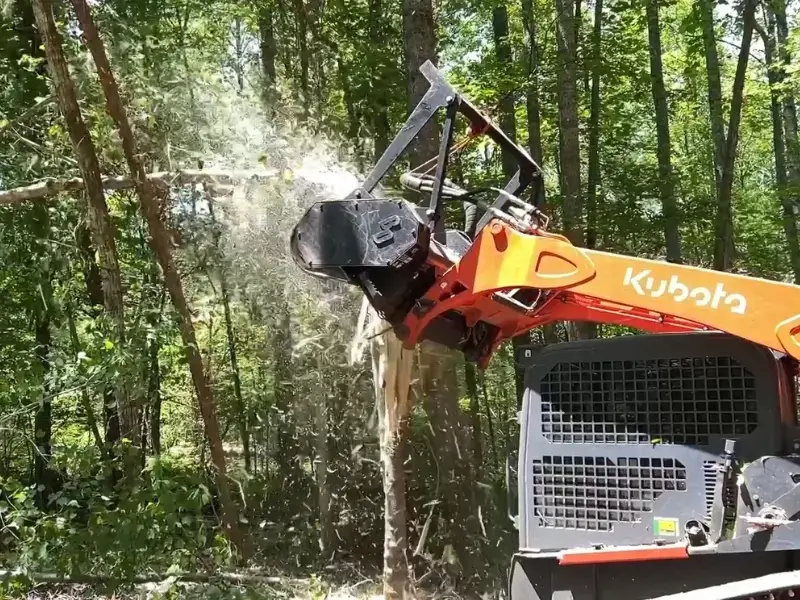 Forestry Mulching Bastrop, Texas
