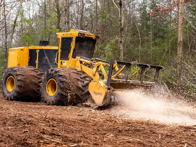 Forestry Mulching - Smithville Texas