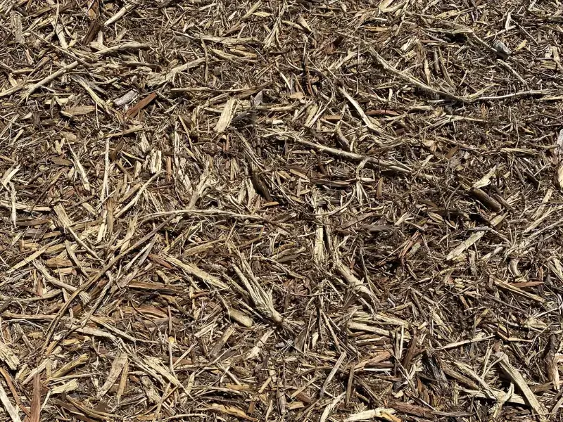 Forestry Mulching Machines in Buda, Texas